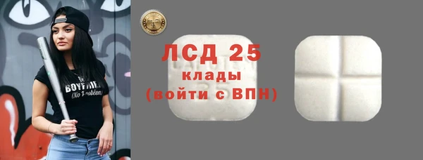 стаф Кулебаки