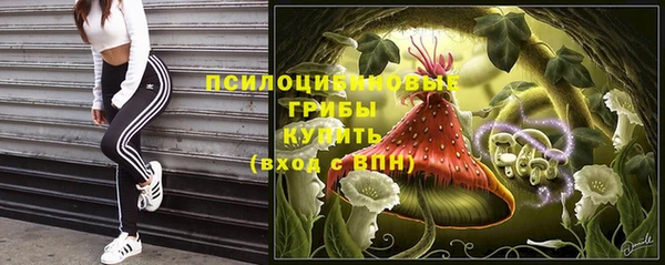 стаф Кулебаки
